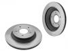 Brake Disc:10052201