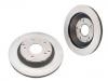 Brake Disc:10097655